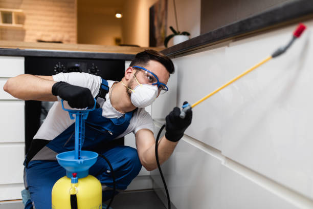 Best Pest Control Near Me in Princeville, HI
