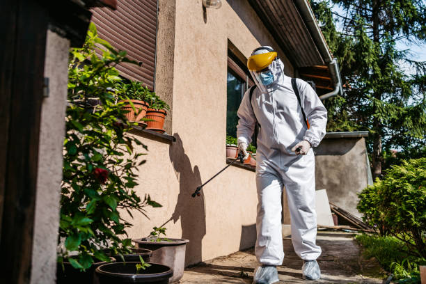 Best Insect Control  in Princeville, HI