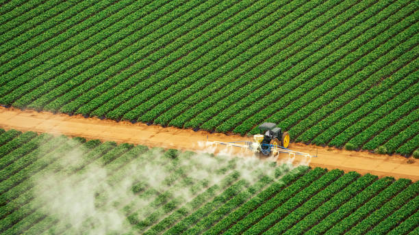 Best Pest Control for Homes  in Princeville, HI