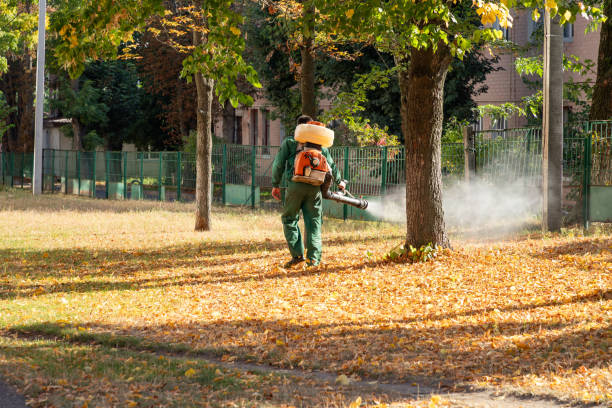 Best Commercial Pest Control Services  in Princeville, HI